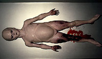 Le fameux Alien de Roswell...