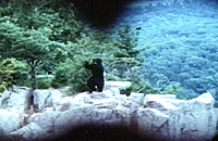 La première apparition de l'ours, dans des fausses jumelles en plus!