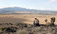 De superbes locations désertiques, gracieuseté de Roger Deakins, le cinématographe "attitré" des frères Cohen.