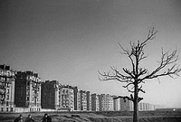 De magnifiques images de Paris viennent contrecarrer les atrocités vécues dans l'abbatoir.
