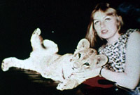 Une photo du lion d'Anton, TOGARE,  quand il était bébé.  Il devint rapidement adulte et fut ensuite donné à un zoo suite aux plaintes des voisins.